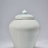 A LARGE WHITE PORCELAIN JAR AND A COVER - photo 1