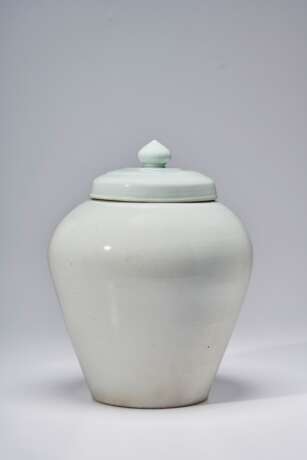 A LARGE WHITE PORCELAIN JAR AND A COVER - фото 2