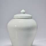 A LARGE WHITE PORCELAIN JAR AND A COVER - photo 4
