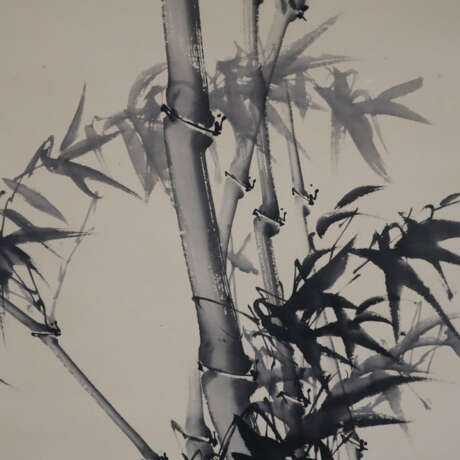 Chinesisches Rollbild – Bambus, Tusche und Farbe auf Papier, ca. 119 x 67,5cm, als Rollbild aufgezogen, Textilumrandung, Knitterspuren - Foto 3