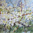 Цветущая ветка вишни - Achat en un clic