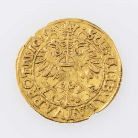 Stadt Worms / Gold - Goldgulden 1619, Avers: Drachen mit Wappenschild, - photo 2