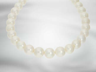 Kette: wertvoller Südsee-Perlenstrang, besonders große Perlen, neuwertig aus Geschäftsauflösung