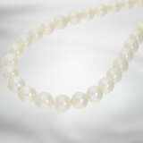 Kette: wertvoller Südsee-Perlenstrang, besonders große Perlen, neuwertig aus Geschäftsauflösung - photo 2