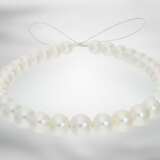 Kette: wertvoller Südsee-Perlenstrang, besonders große Perlen, neuwertig aus Geschäftsauflösung - Foto 3