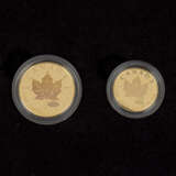 Kanada/GOLD - Nobles und seltenes Set 1 Unze bis 1/20 Unze - photo 3