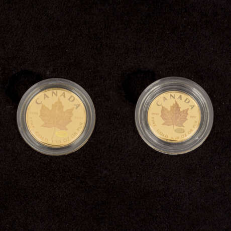 Kanada/GOLD - Nobles und seltenes Set 1 Unze bis 1/20 Unze - photo 4