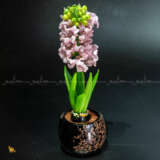 Цветок из стекла „Zusammensetzung aus farbigem Glas Pink Hyacinth -5“, Farbiges Glas, Gusstechnik, Realismus, ботаническая скульптура, Russland, 2021 - Foto 3