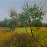 Painting “SUMMER”, Canvas, Oil paint, Impressionist, Landscape painting, Ukraine, 2021 - photo 1