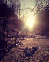 Frozen Sun Frozen Sun