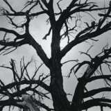 Adams, Ansel. ANSEL ADAMS (1902–1984) - photo 1