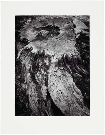 Adams, Ansel. ANSEL ADAMS (1902–1984) - photo 2