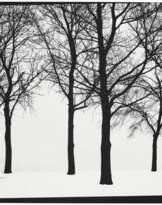 HARRY CALLAHAN (1912–1999)