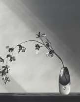 ROBERT MAPPLETHORPE (1946–1989)