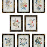 A SET OF EIGHT IRISH GEORGE II EMBOSSED FLOWER PICTURES - Foto 1