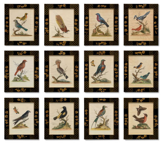 TWELVE HAND-COLOURED ENGRAVINGS FROM `A NATURAL HISTORY OF UNCOMMON BIRDS` - фото 1