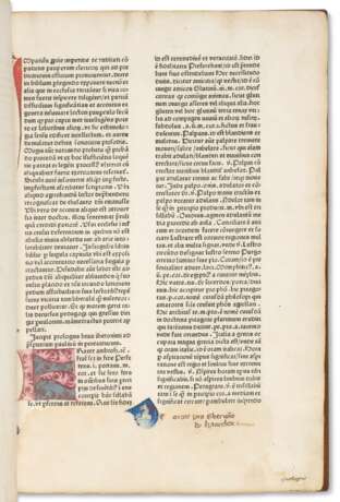 Mammotrectus super Bibliam - photo 1