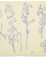 Henri Matisse (1869-1954)