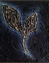 Flower of the night Flower of the night