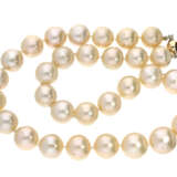 Kette: feine Perlenkette, sehr feine Qualität, vermutlich Südsee - Foto 1
