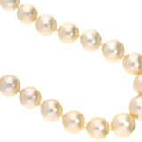 Kette: feine Perlenkette, sehr feine Qualität, vermutlich Südsee - photo 2