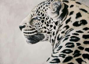 "Леопард"