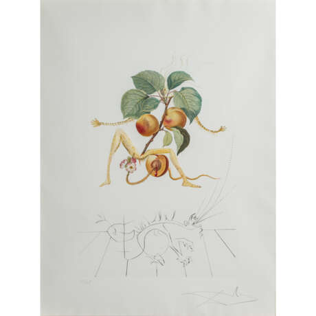 DALI, SALVADOR (1904-1989), "Aprikose" aus der Serie "Flordali (Früchte)", - photo 1