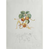 DALI, SALVADOR (1904-1989), "Aprikose" aus der Serie "Flordali (Früchte)", - photo 1
