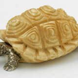 Schildkröte - фото 1