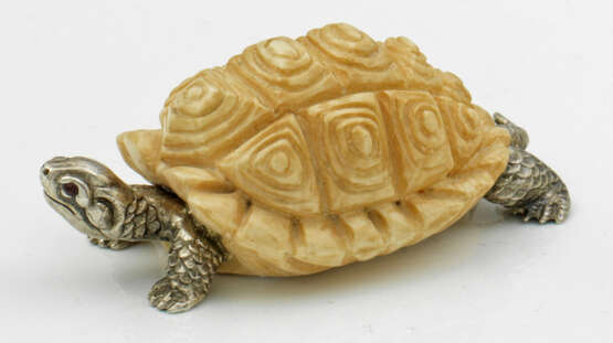 Schildkröte - Foto 1