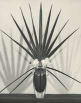 Robert Mapplethorpe (1946-1989)