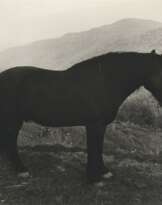 Peter Hujar (1934-1987)