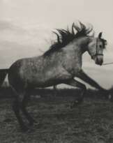 Peter Hujar (1934-1987)