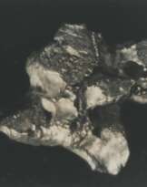 Sigmar Polke (1941-2010)