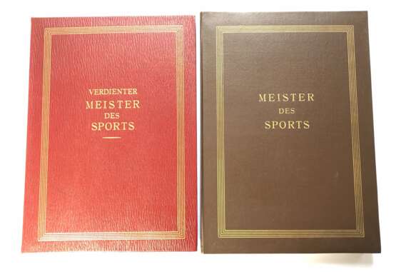 Verdienter Meister und Meister des Sports, - Foto 3