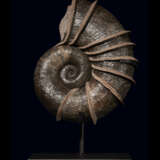 A LARGE "WINGED" AMMONITE - Foto 1