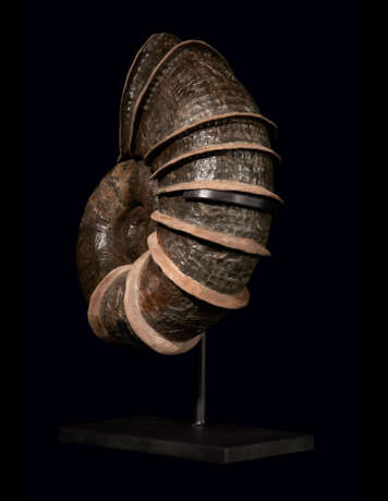 A LARGE "WINGED" AMMONITE - Foto 4