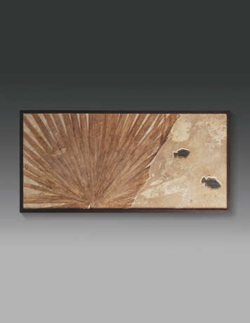 A LARGE PLAQUE WITH FOSSIL PALM LEAVES AND FOSSIL FISH SPECIMENS - Foto 1