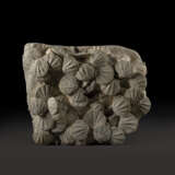 A LARGE GROUP OF FOSSILIZED SCALLOPS - Foto 1