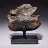 THE TAIL VERTEBRA OF A TYRANNOSAURUS REX - photo 1