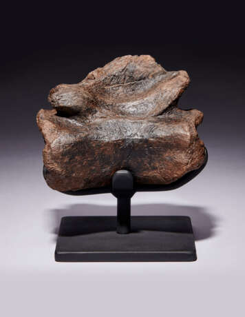 THE TAIL VERTEBRA OF A TYRANNOSAURUS REX - photo 1