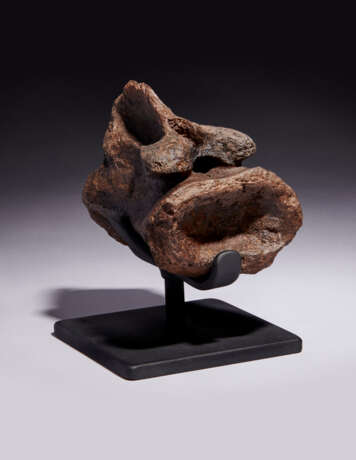 THE TAIL VERTEBRA OF A TYRANNOSAURUS REX - photo 3