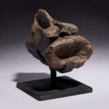 THE TAIL VERTEBRA OF A TYRANNOSAURUS REX - photo 3