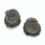 A PAIR OF PYRITIZED SPLIT AMMONITES - photo 2