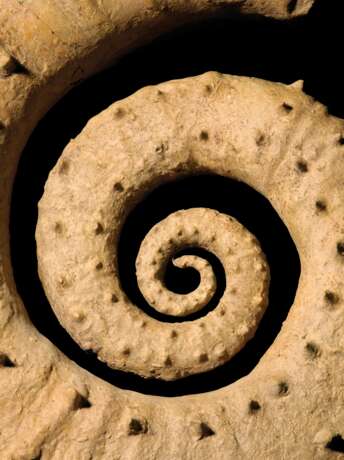 AN UNCOILED SPINY AMMONITE - Foto 3