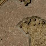 A FOSSIL SEA LILY PLAQUE WITH PYRITE CRSYTALS - фото 2