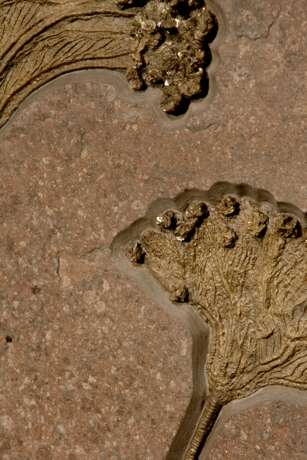 A FOSSIL SEA LILY PLAQUE WITH PYRITE CRSYTALS - фото 2