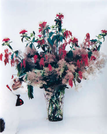 Chiro mit Blumen. Nobuyoshi Araki - Foto 1