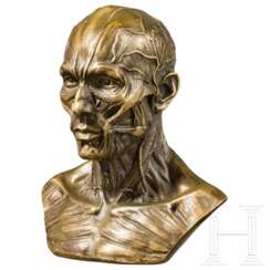 Anatomisches Modell in Bronze, wohl deutsch, um 1900