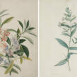 Two Watercolours with Blue Mimulus and Impatiens Balsamina - Auktionsarchiv